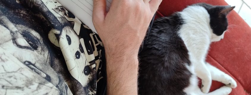 Foto de uma mão segurando lápis, com uma folha embaixo, e um gato deitado ao lado da pessoa que está escrevendo.