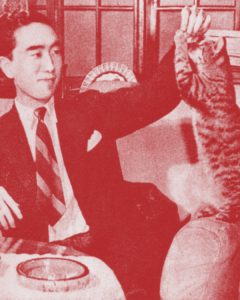 Foto mostra Yukio Mishima brincando com um gato na década de 1940.